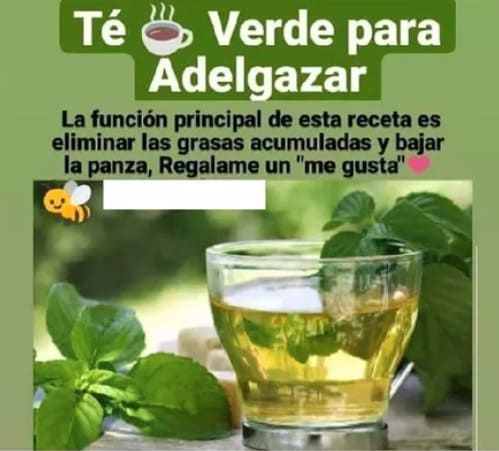Waslim Té Verde Adelgazante