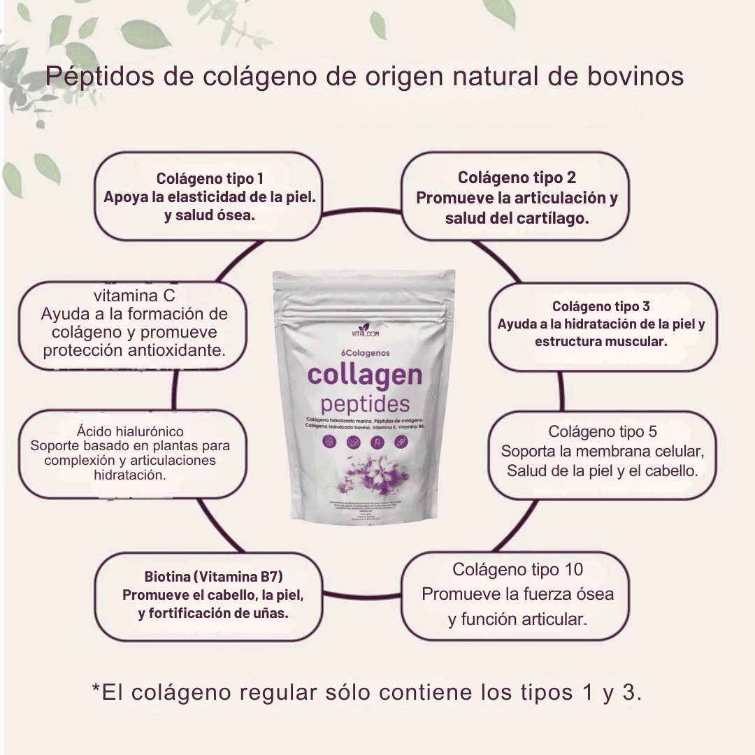 Menopause + Collagen 💜