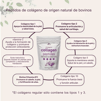 Menopause + Collagen 💜