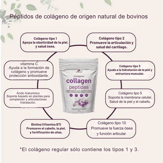 Menopause + Collagen 💜