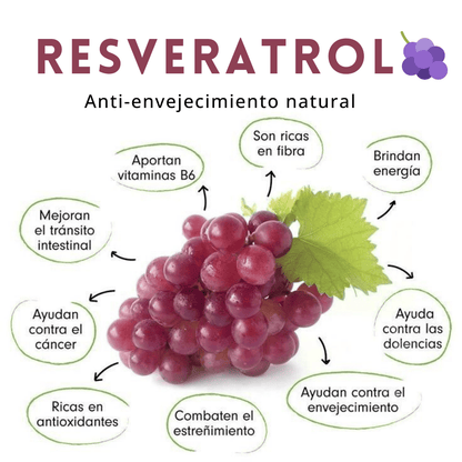 Nad Liposomal Funda + Reveratrol 100 Capsulas🧪💊